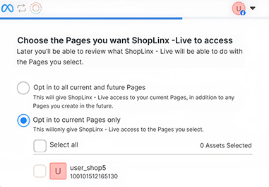 Choose a Business Page